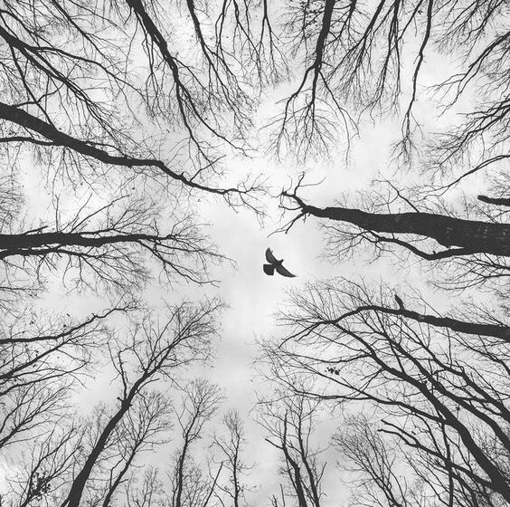 alone