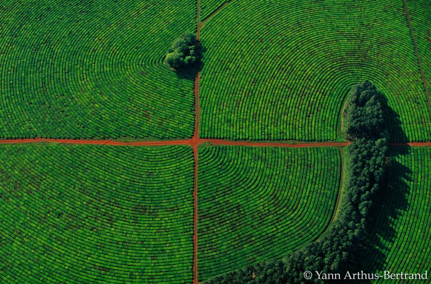  Earth from Above