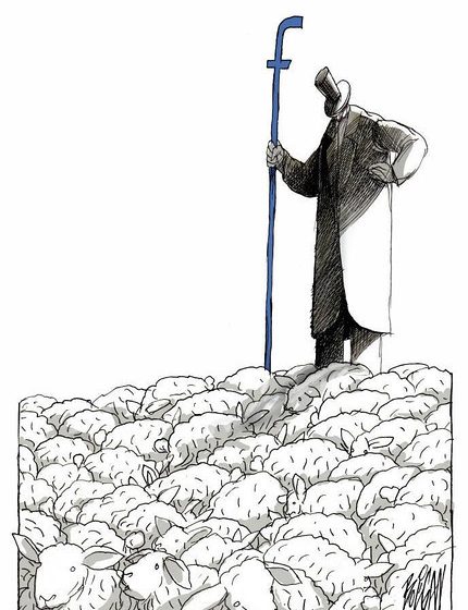  face sheep