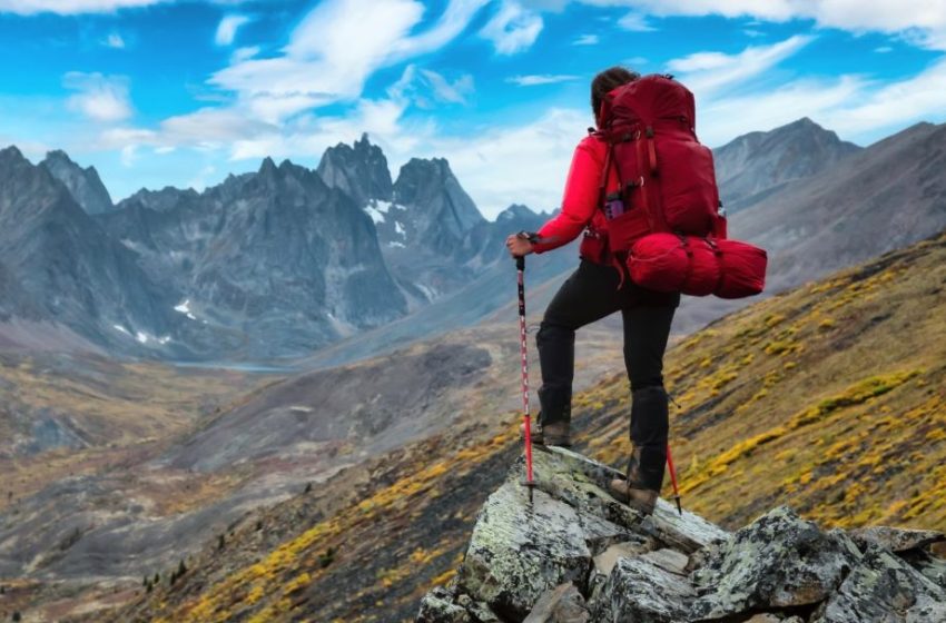  أجسادنا لا تزال تنتمي إلى الطبيعة