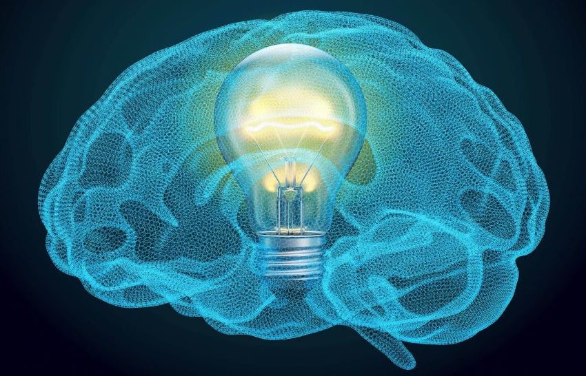  تشير أدلة جديدة إلى أن التفوق العقلي الفريد للبشرية على مملكة الحيوان هو مجرد خرافة تطورية.